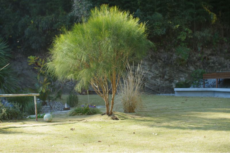 造園事例