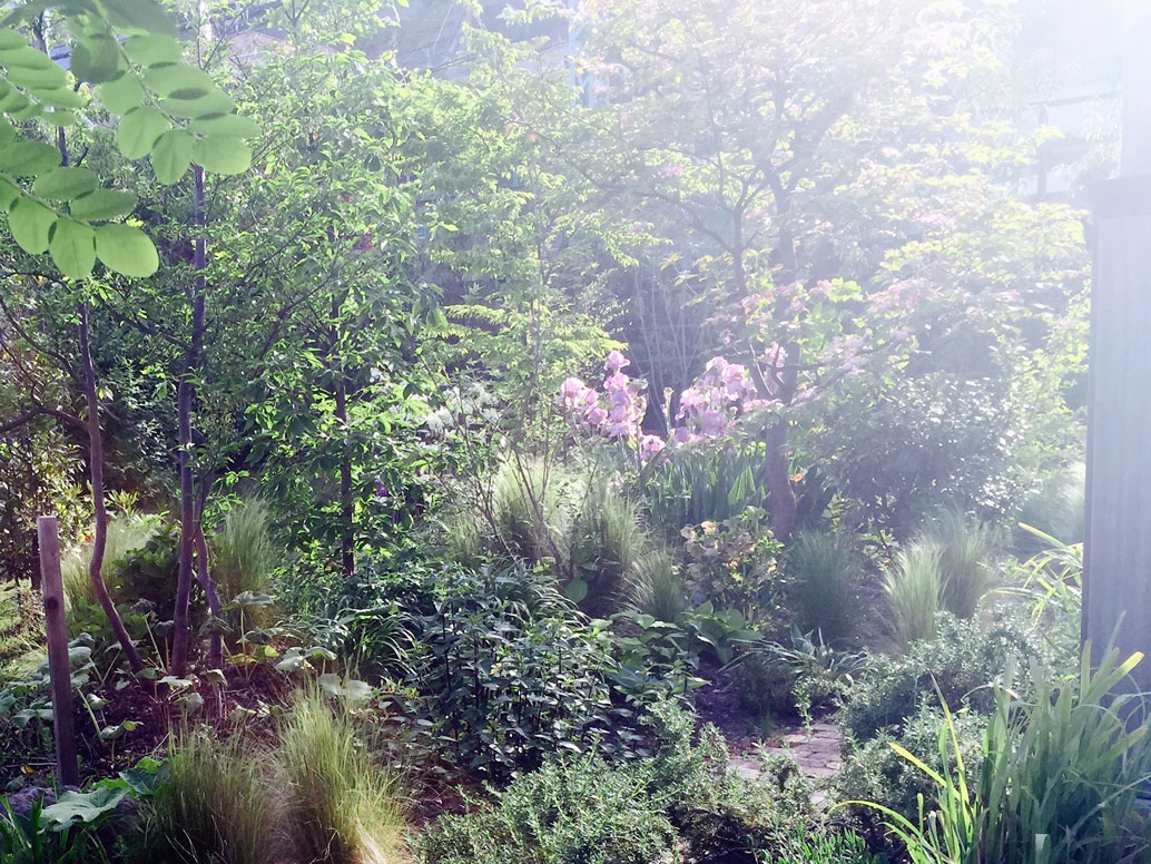 植物の生命力