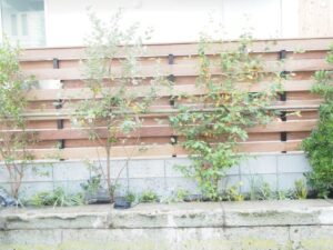 茅ヶ崎 M