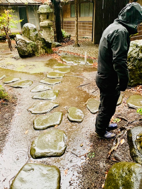 雨ですが・・・