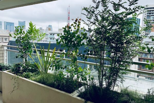 コンテナガーデン～Container garden~