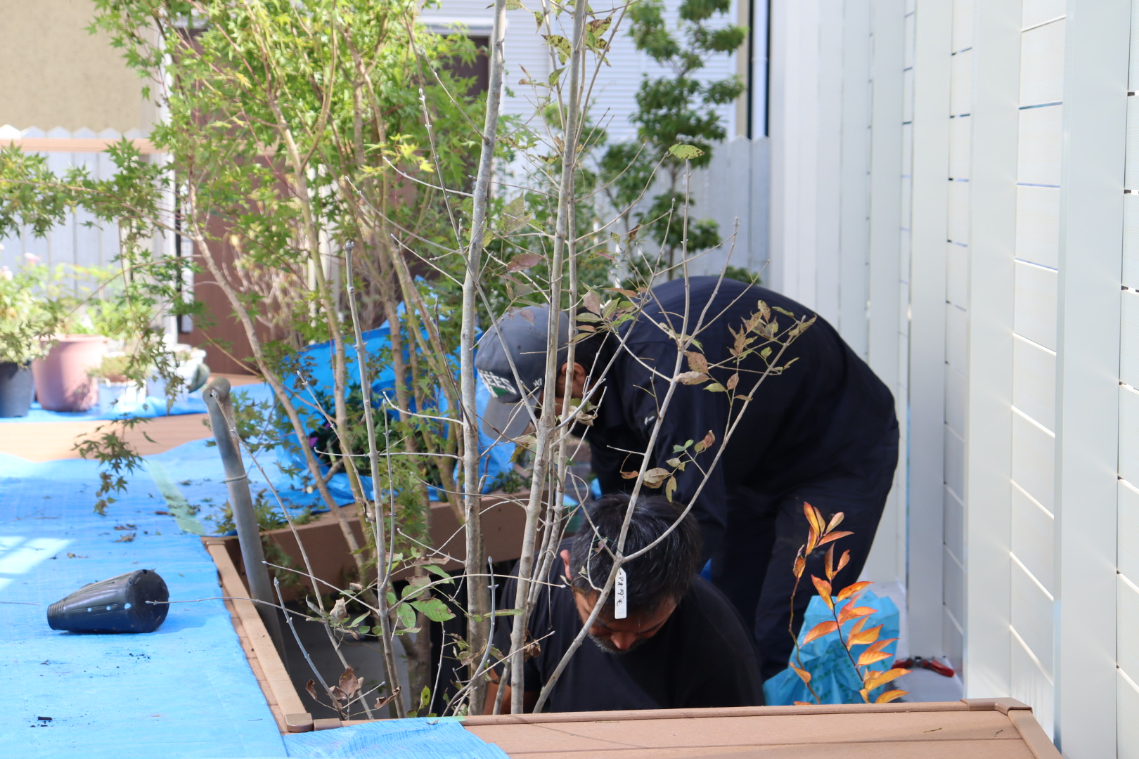 逗子市新築植栽工事O邸施工中
